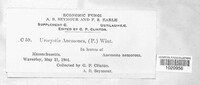 Image Associated With the Occurence